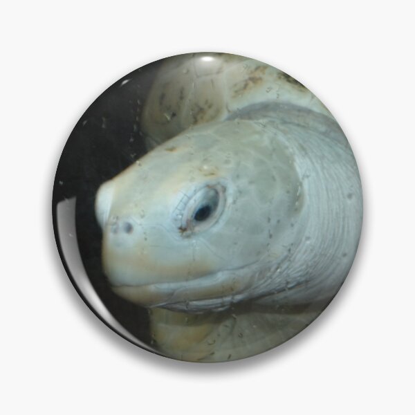 Item preview, Green Sea Turtle designed and sold by GardenGrove75.