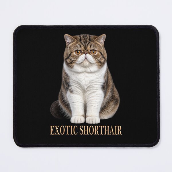 Item preview, Exotic Shorthair Cat designed and sold by Johnny Furlotte.