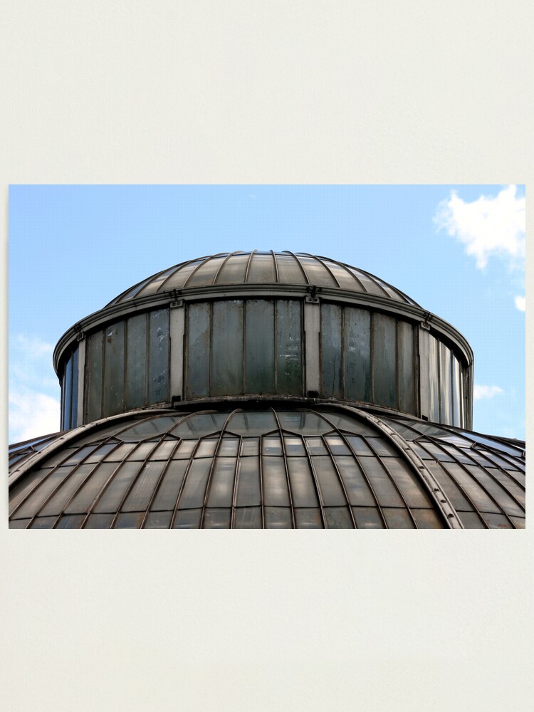 Alternate view of Palm House Photographic Print