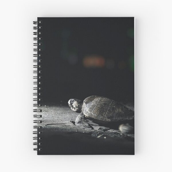 Item preview, Nighttime Sea Turtle Crawling on Dark Shore designed and sold by BarbeeOneida.