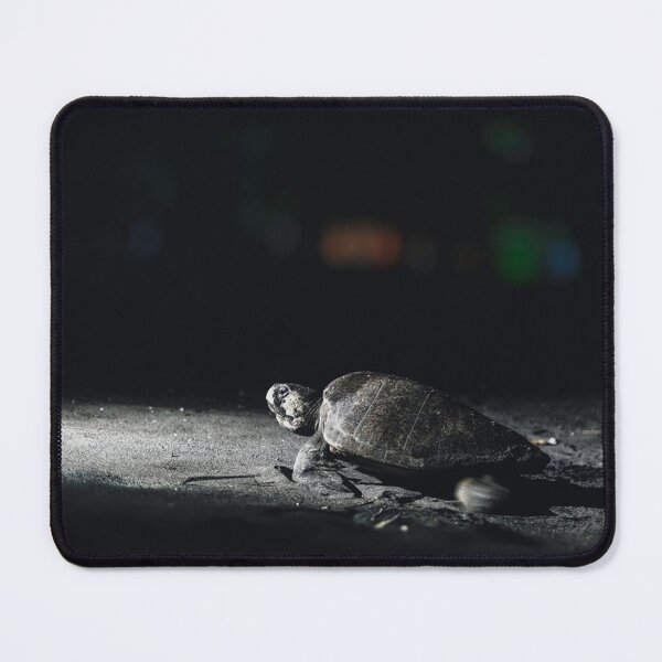 Item preview, Nighttime Sea Turtle Crawling on Dark Shore designed and sold by BarbeeOneida.