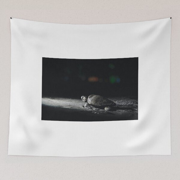 Item preview, Nighttime Sea Turtle Crawling on Dark Shore designed and sold by BarbeeOneida.