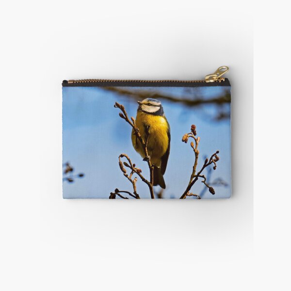 Item preview, Perched Eurasian Blue Tit on Bare Twigs designed and sold by BarbeeOneida.
