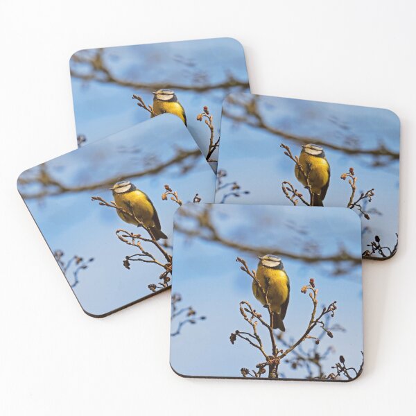 Item preview, Perched Eurasian Blue Tit on Bare Twigs designed and sold by BarbeeOneida.