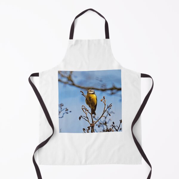 Item preview, Perched Eurasian Blue Tit on Bare Twigs designed and sold by BarbeeOneida.