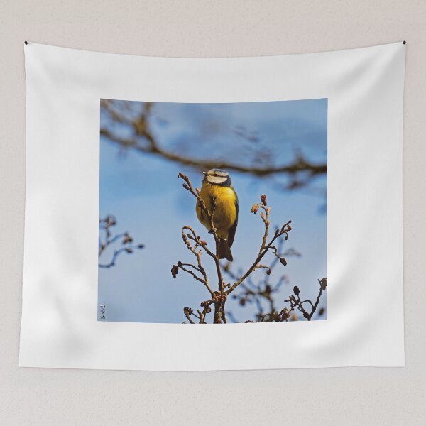 Item preview, Perched Eurasian Blue Tit on Bare Twigs designed and sold by BarbeeOneida.