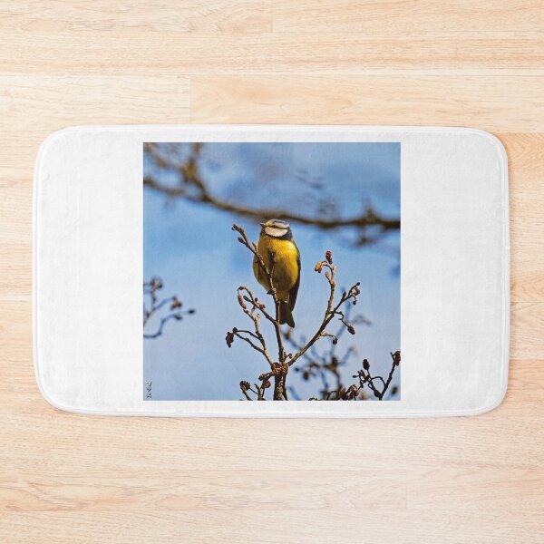 Item preview, Perched Eurasian Blue Tit on Bare Twigs designed and sold by BarbeeOneida.