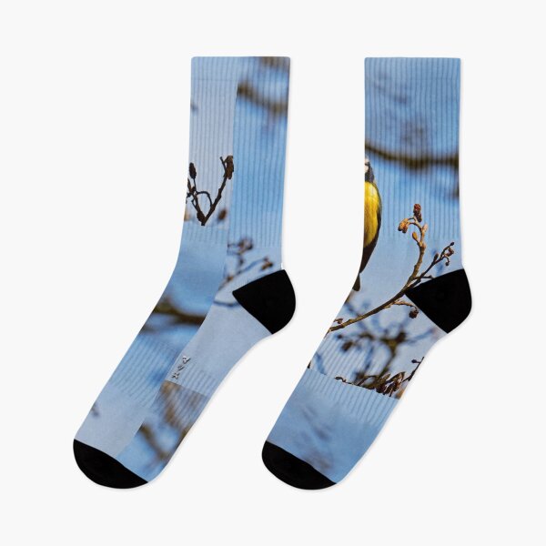 Item preview, Perched Eurasian Blue Tit on Bare Twigs designed and sold by BarbeeOneida.