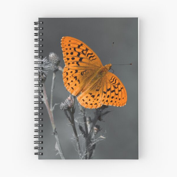Item preview, Great Spangled Fritillary color isolated designed and sold by Cblifeisgood.