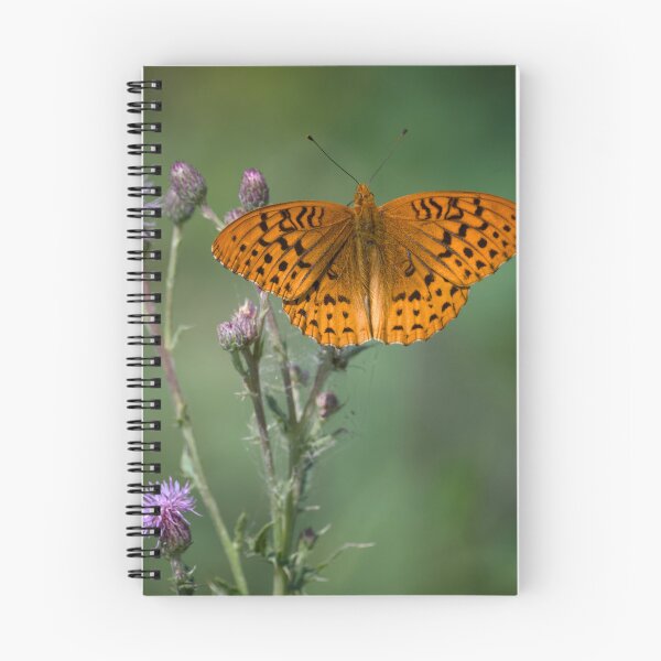 Item preview, Great Spangled Fritillary  designed and sold by Cblifeisgood.