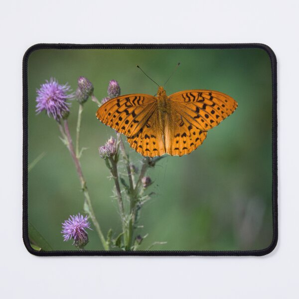 Item preview, Great Spangled Fritillary  designed and sold by Cblifeisgood.