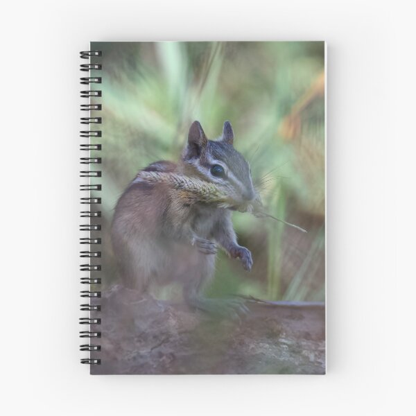 Item preview, Chipmunk eating grass designed and sold by Cblifeisgood.