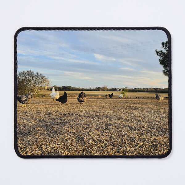 Item preview, Chickens Roaming in the Countryside designed and sold by Stacey's unpromised.