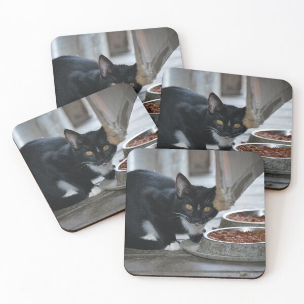 Item preview, Kitten designed and sold by This and That.