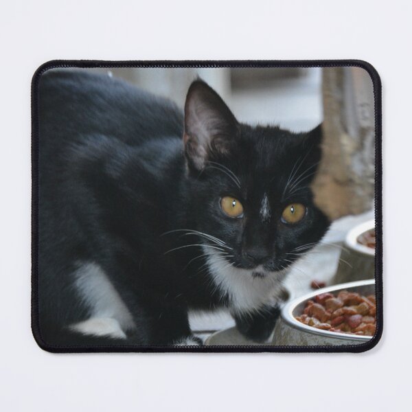 Item preview, Kitten designed and sold by This and That.