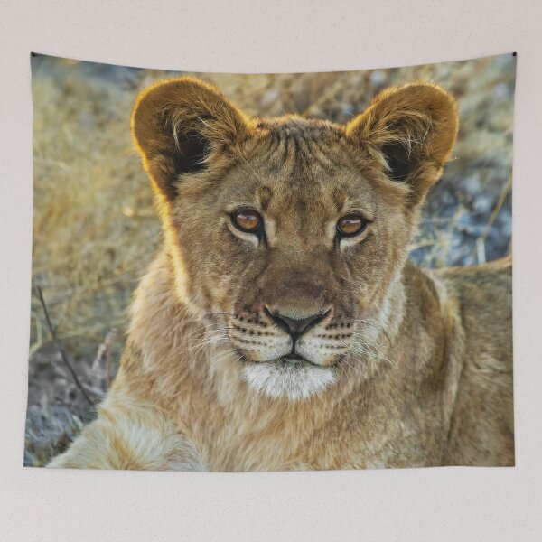 Item preview, Kalahari Lion Cub designed and sold by Kay Brewer.