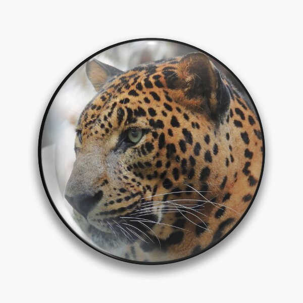 Item preview, Indian Leopard Close Up designed and sold by Linda Walsh.