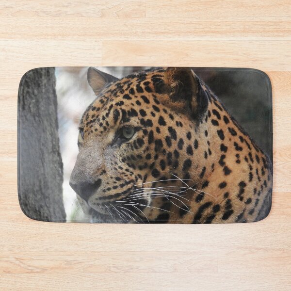 Item preview, Indian Leopard Close Up designed and sold by Linda Walsh.