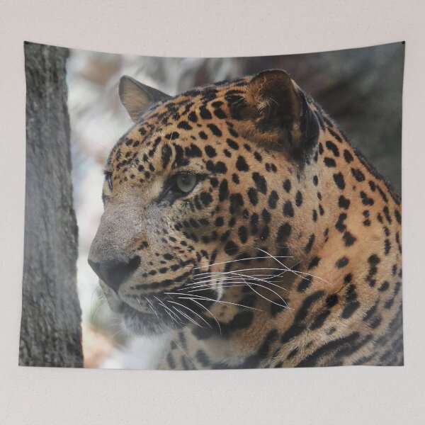 Item preview, Indian Leopard Close Up designed and sold by Linda Walsh.