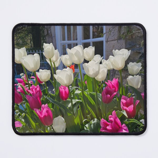 Item preview, Backlit Beauties designed and sold by Kat Simmons.