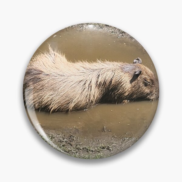Item preview, Capybara designed and sold by gratogratto.