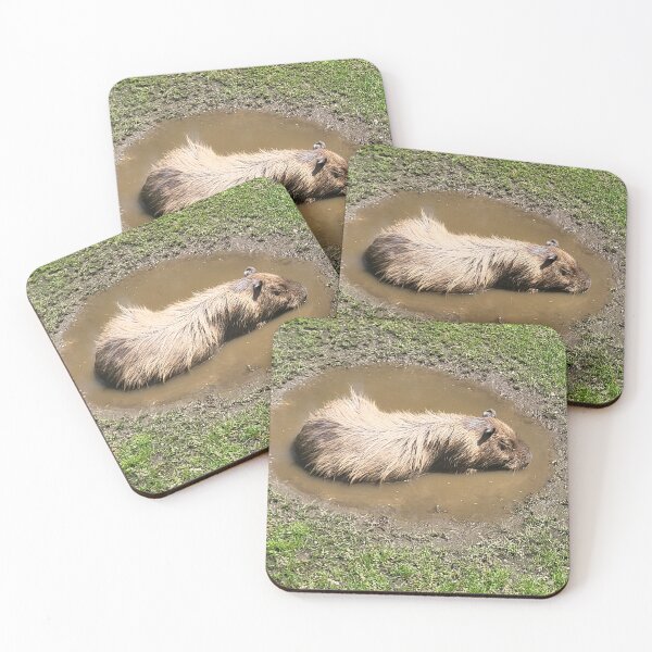 Item preview, Capybara designed and sold by gratogratto.