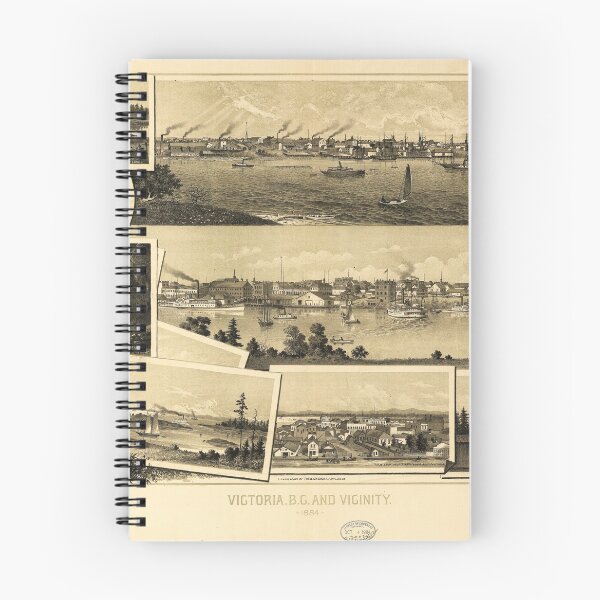 Item preview, Aerial View of Victoria, British Columbia (1884) designed and sold by allhistory.