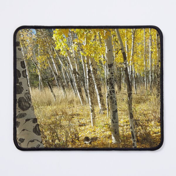 Item preview, Aspen forest designed and sold by The Better Days Company.