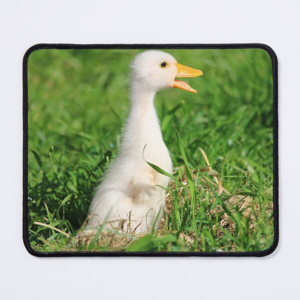 Item preview, Curious White Duckling in Green Grass designed and sold by DansCreations42.