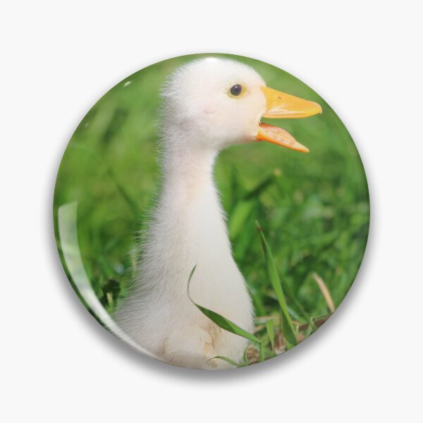 Item preview, Curious White Duckling in Green Grass designed and sold by DansCreations42.