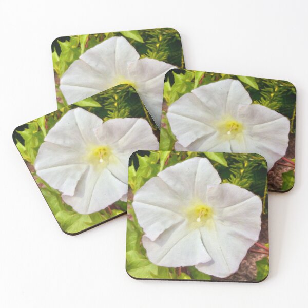Item preview, White Morning Glory Botanical Canvas Painting designed and sold by Pamela Storch.