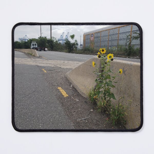 Item preview, Highway Sunflowers by the Railyard designed and sold by concretebotany.