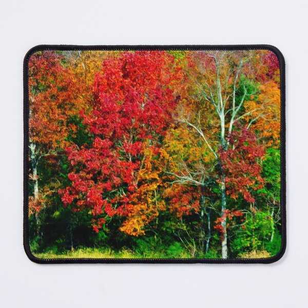 Item preview, Autumn Color Fest designed and sold by michaelasamples.