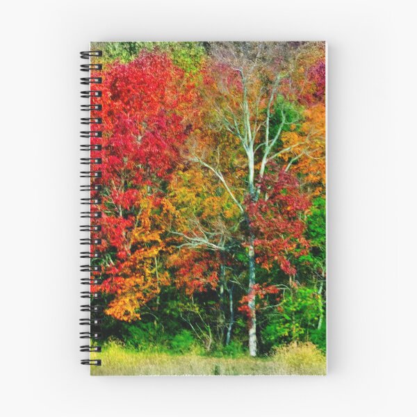 Item preview, Autumn Color Fest designed and sold by michaelasamples.