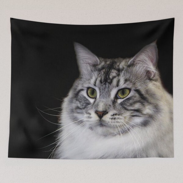 Item preview, I Am Ready For My Close Up  designed and sold by heatherfriedman.