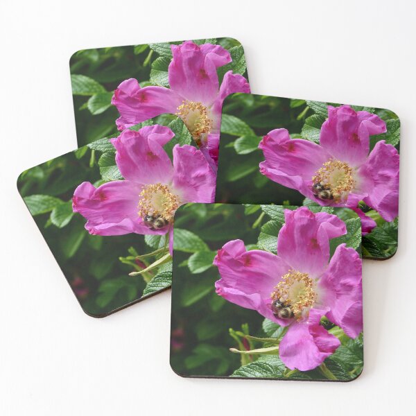 Item preview, There’s a Bee? designed and sold by Madeleines Art.