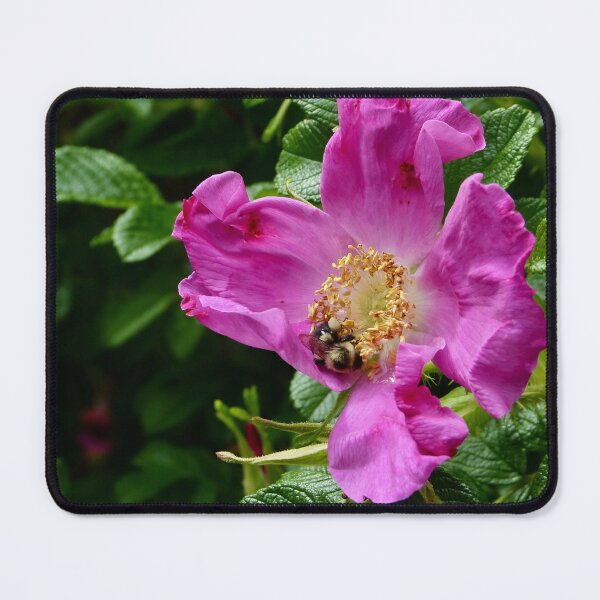 Item preview, There’s a Bee? designed and sold by Madeleines Art.