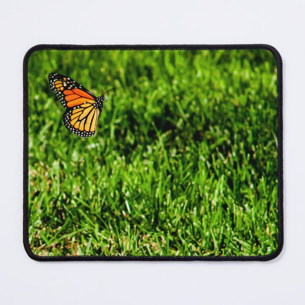 Item preview, Monarch Butterfly in Grass designed and sold by Birds & Beans Photography.
