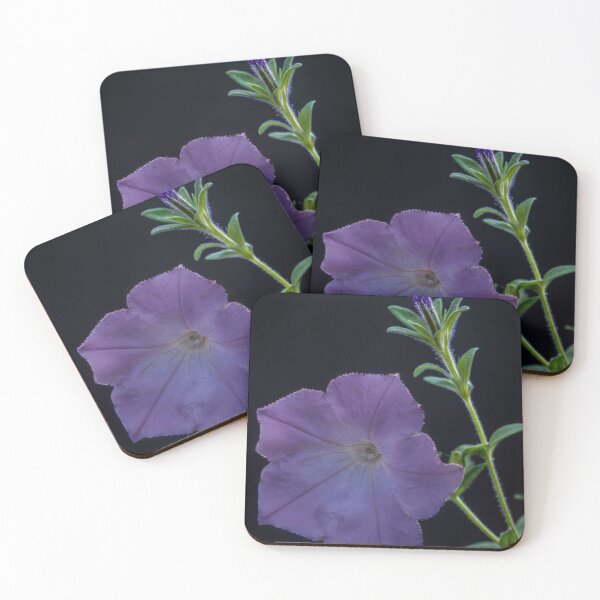 Item preview, Purple Petunia Flower with Bud on Black Background designed and sold by gaohao1.
