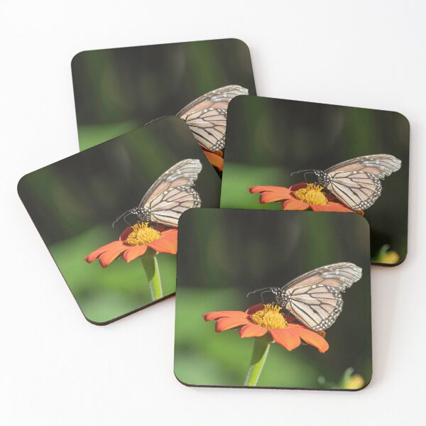 Item preview, Monarch on Mexican Sunflower 8-22-2026 designed and sold by Thomasyoung.