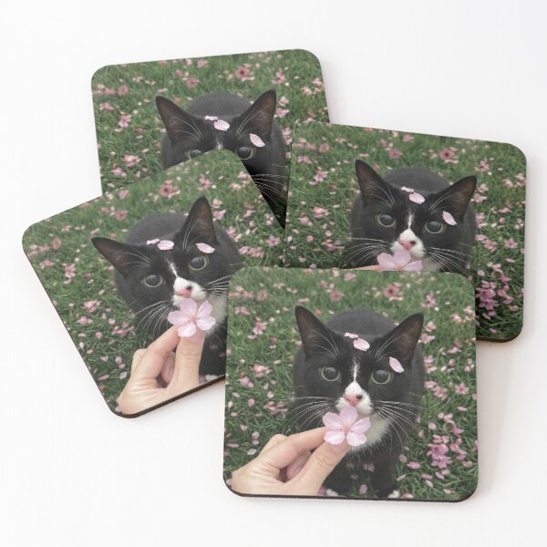Item preview, Kitten Eaton Bussmann cPlaytime designed and sold by Arongraper.