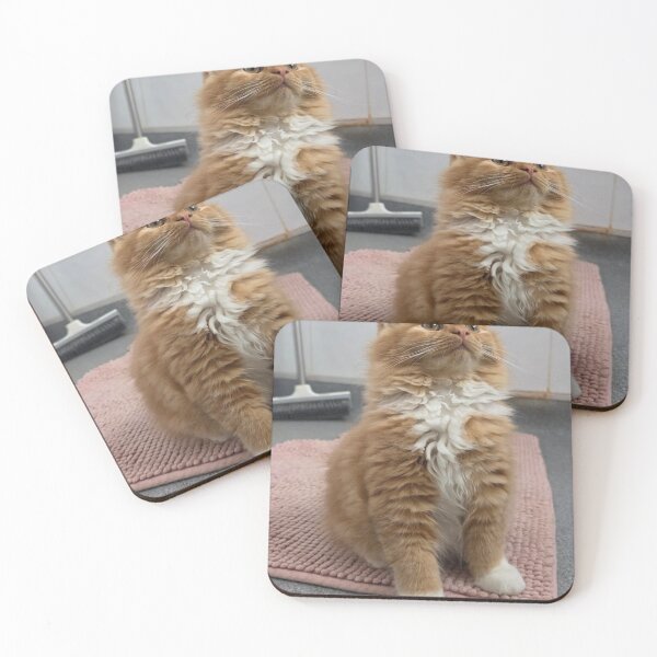 Item preview, Feline Eaton Bussmann aSunset designed and sold by Arongraper.