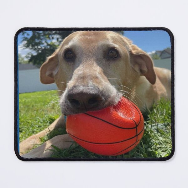 Item preview, Yellow Labrador Retriever designed and sold by PopPucks.