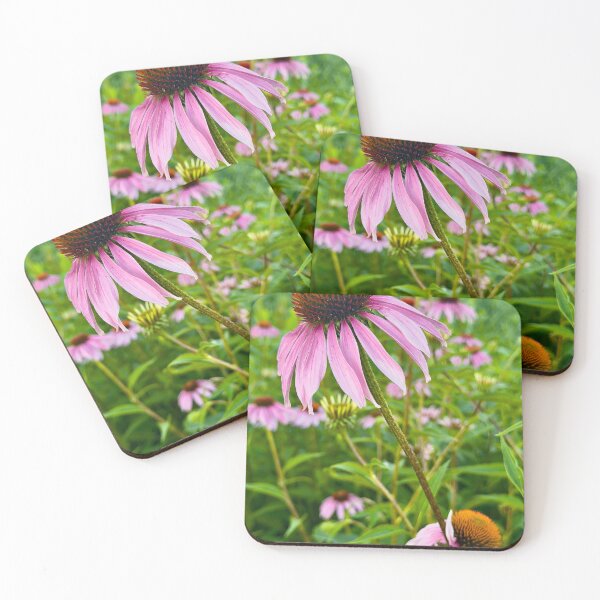 Item preview, Echinacea in Bloom Pink Purple Coneflowers by Pamela Storch designed and sold by Pamela Storch.