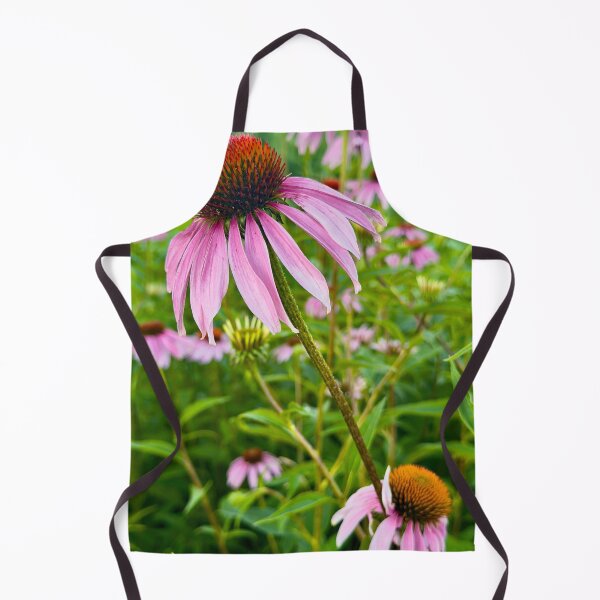 Item preview, Echinacea in Bloom Pink Purple Coneflowers by Pamela Storch designed and sold by Pamela Storch.