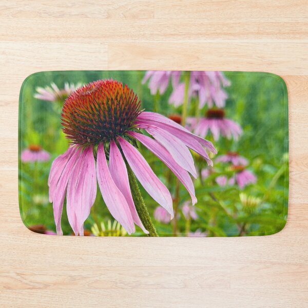 Item preview, Echinacea in Bloom Pink Purple Coneflowers by Pamela Storch designed and sold by Pamela Storch.