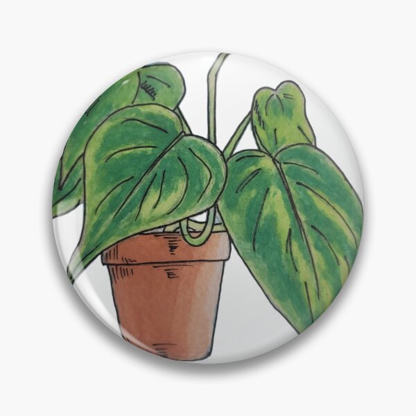 Item preview, Heartleaf Philodendron Watercolor Houseplant designed and sold by LemonJulesArt.