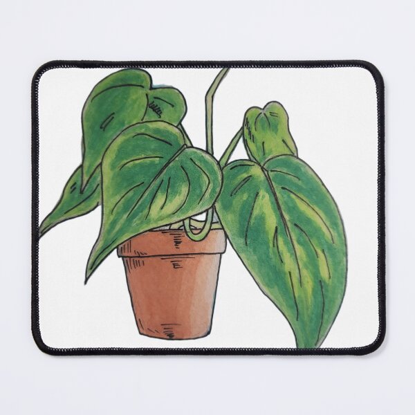 Item preview, Heartleaf Philodendron Watercolor Houseplant designed and sold by LemonJulesArt.