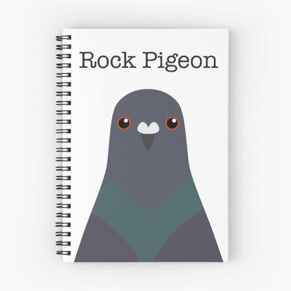 Item preview, Cute Rock Pigeon Face designed and sold by Rebeccatiana.nz.