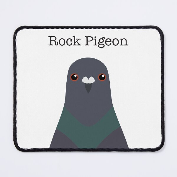 Item preview, Cute Rock Pigeon Face designed and sold by Rebeccatiana.nz.
